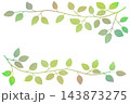 枝葉のイラストのフレーム 143873275