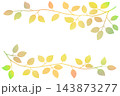 枝葉のイラストのフレーム 143873277