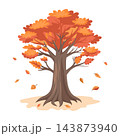 Autumn Tree with Falling Leaves isolated on white background. Illustration. 143873940