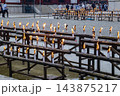 四天王寺万灯供養／大阪府大阪市天王寺区四天王寺1丁目 143875217