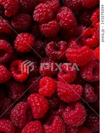 Bright red ripe raspberry berries texture background Bright red ripe raspberry berries texture background 143876894
