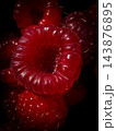Extreme close up of fresh harvested red raspberries 143876895