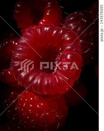 Extreme close up of fresh harvested red raspberries Extreme close up of fresh harvested red raspberries 143876895
