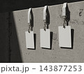 Three blank ID cards on lanyards hanging from a concrete ledge in hard sunlight 3D render 143877253