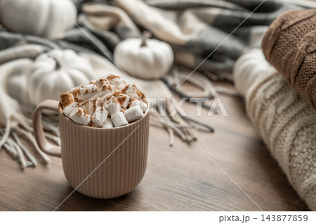 Cozy autumn hot chocolate with marshmallows and knitted blankets Cozy autumn hot chocolate with marshmallows and knitted blankets 143877859
