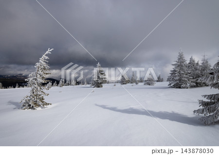 magic winter landscape with snowy fir trees magic winter landscape with snowy fir trees 143878030