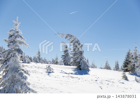 magic winter landscape with snowy fir trees magic winter landscape with snowy fir trees 143878031