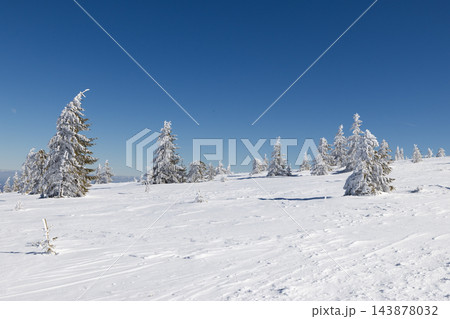 magic winter landscape with snowy fir trees 143878032