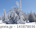 magic winter landscape with snowy fir trees 143878036
