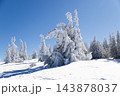 magic winter landscape with snowy fir trees 143878037