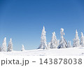 magic winter landscape with snowy fir trees 143878038