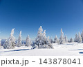 magic winter landscape with snowy fir trees 143878041