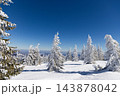 magic winter landscape with snowy fir trees 143878042