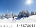 magic winter landscape with snowy fir trees 143878043