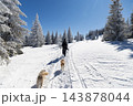 trekking with happy dog in magic winter landscape 143878044