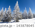 magic winter landscape with snowy fir trees 143878045