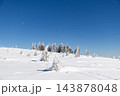 magic winter landscape with snowy fir trees 143878048