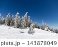 magic winter landscape with snowy fir trees 143878049