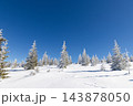 magic winter landscape with snowy fir trees 143878050