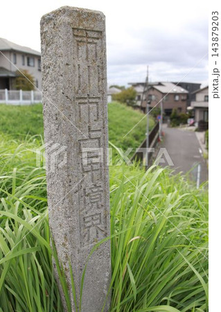 草むらに立つ市川市占用境界を示す石杭標柱 143879203