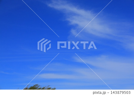 青空に浮かぶ雲 青空に浮かぶ雲 143879503