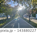 初秋の朝の散歩道 143880227