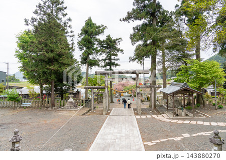 滋賀県長浜市　春の伊香具神社前の入り口の石鳥居と境内 143880270