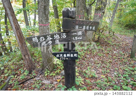 秋の蔵王スキー場にある鴫の谷地沼の寂しい風景 143882112