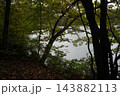 秋の蔵王スキー場にある鴫の谷地沼の寂しい風景 143882113