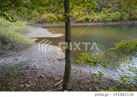 秋の蔵王スキー場にある鴫の谷地沼の寂しい風景 143882116