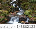 秋の蔵王スキー場にある鴫の谷地沼の寂しい風景 143882122