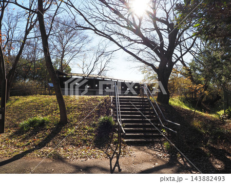 みさと公園　埼玉県（2022年12月） 143882493