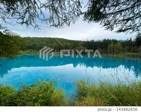 北海道上富良野町・丘陵を走る直線道路とアップダウンの絶景風景 北海道上富良野町・丘陵を走る直線道路とアップダウンの絶景風景 143882656