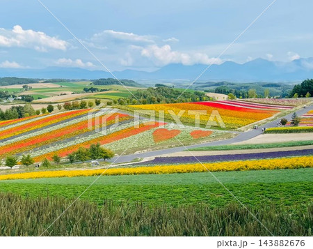 北海道上富良野町・丘陵を走る直線道路とアップダウンの絶景風景 北海道上富良野町・丘陵を走る直線道路とアップダウンの絶景風景 143882676