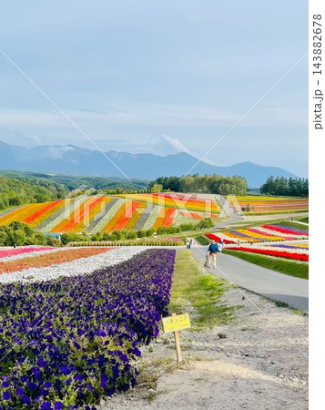 北海道上富良野町・丘陵を走る直線道路とアップダウンの絶景風景 北海道上富良野町・丘陵を走る直線道路とアップダウンの絶景風景 143882678