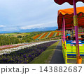 北海道上富良野町・丘陵を走る直線道路とアップダウンの絶景風景 143882687