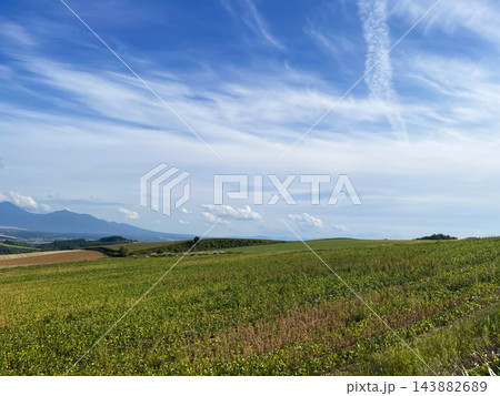 北海道上富良野町・丘陵を走る直線道路とアップダウンの絶景風景 143882689