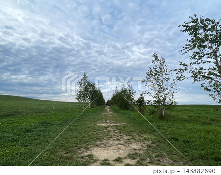 北海道上富良野町・丘陵を走る直線道路とアップダウンの絶景風景 北海道上富良野町・丘陵を走る直線道路とアップダウンの絶景風景 143882690
