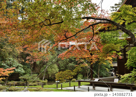 秋の南禅院　庭園と方丈(京都市左京区) 143882731