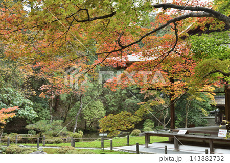 秋の南禅院　庭園と方丈(京都市左京区) 143882732