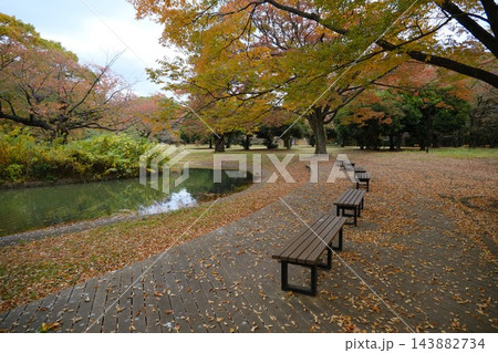 代々木公園　早朝　2022年11月 143882734
