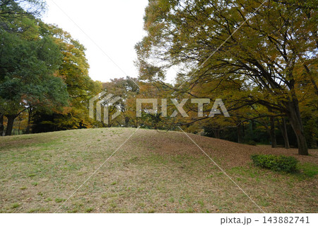 代々木公園 早朝 2022年11月 代々木公園 早朝 2022年11月 143882741