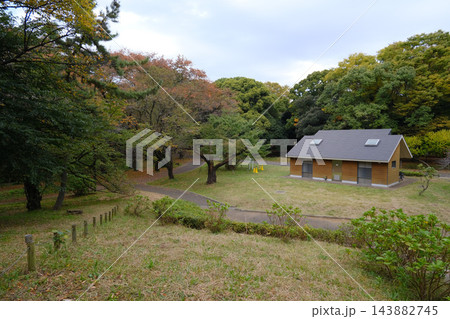 代々木公園　早朝　2022年11月 143882745