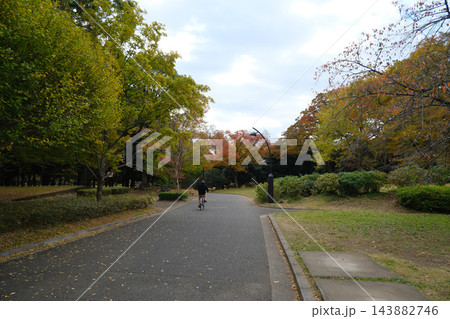 代々木公園 早朝 2022年11月 代々木公園 早朝 2022年11月 143882746