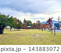 色づいた木々と東屋がある秋の芝生広場 143883072