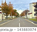 黄葉した並木と建物が続く秋の直線道路 143883074