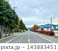 針葉樹の並木と赤い低木が続く秋の直線道路 143883451