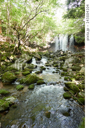 乙女の滝 沢名川 栃木県那須塩原市板室 苔むす渓流と滝 乙女の滝 沢名川 栃木県那須塩原市板室 苔むす渓流と滝 143884104