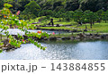 夏の旧芝離宮恩賜庭園 緑と水辺が広がる回遊式泉水庭園 143884855