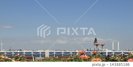 横浜　山下公園の花壇に止まるアオスジアゲハと青空　横構図 143885186